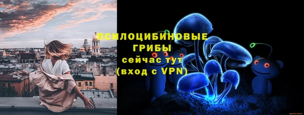 сатива Зерноград