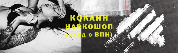 индика Киренск