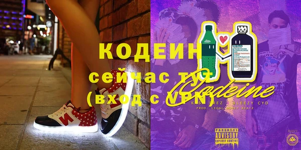 молекула духа Козельск