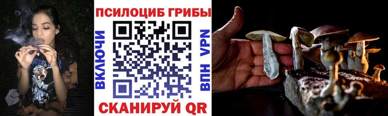 Купить где  Лысьва  Псилоцибиновые грибы Magic Shrooms 